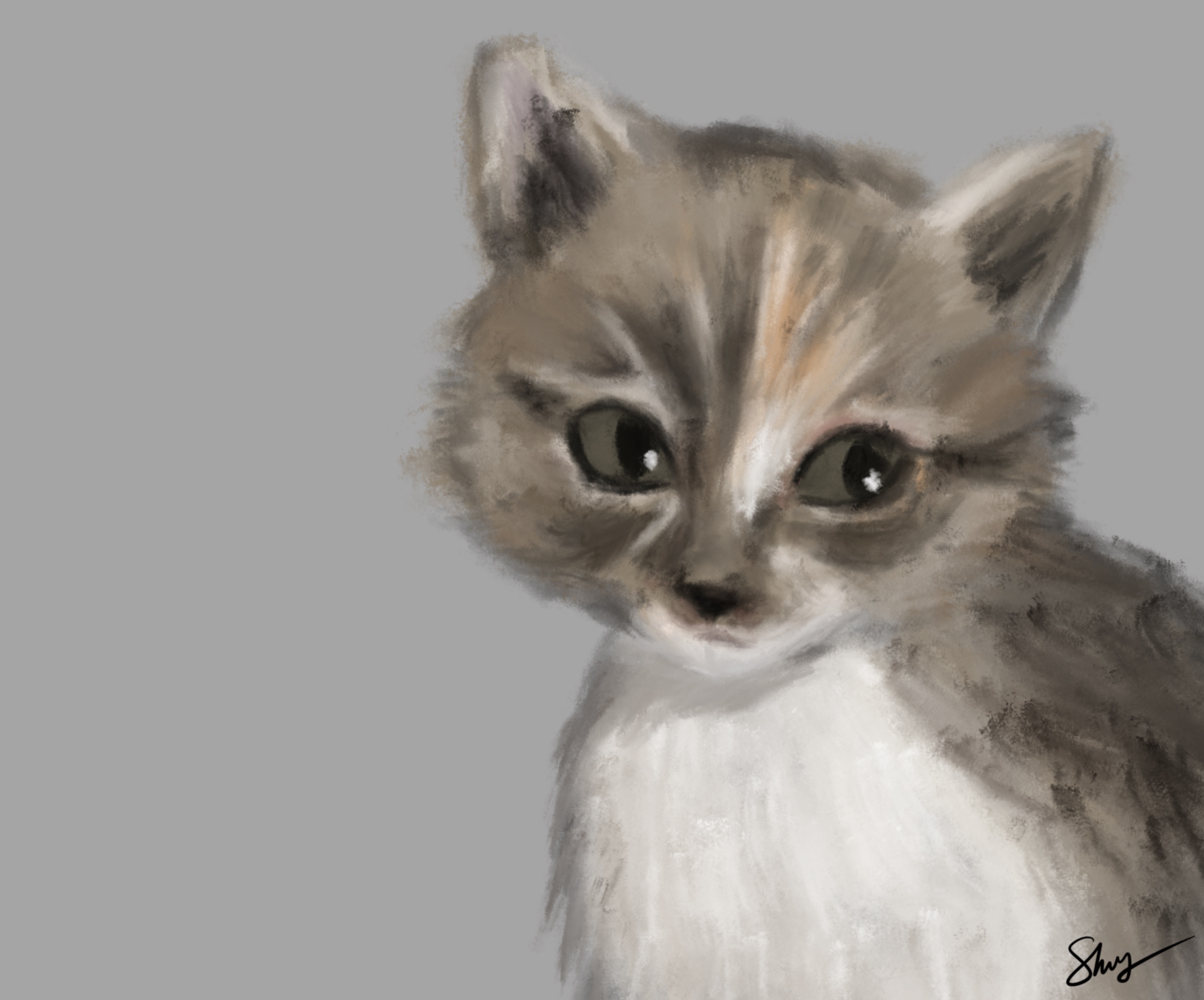 Digital portrait study